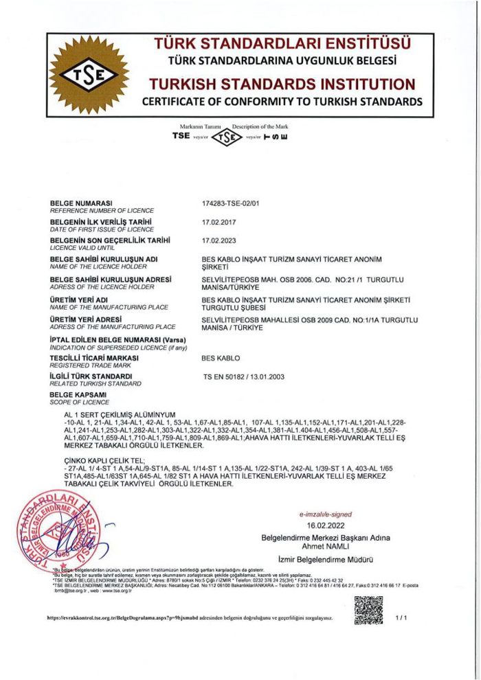 TS EN 50182 2 1 Min 724X1024